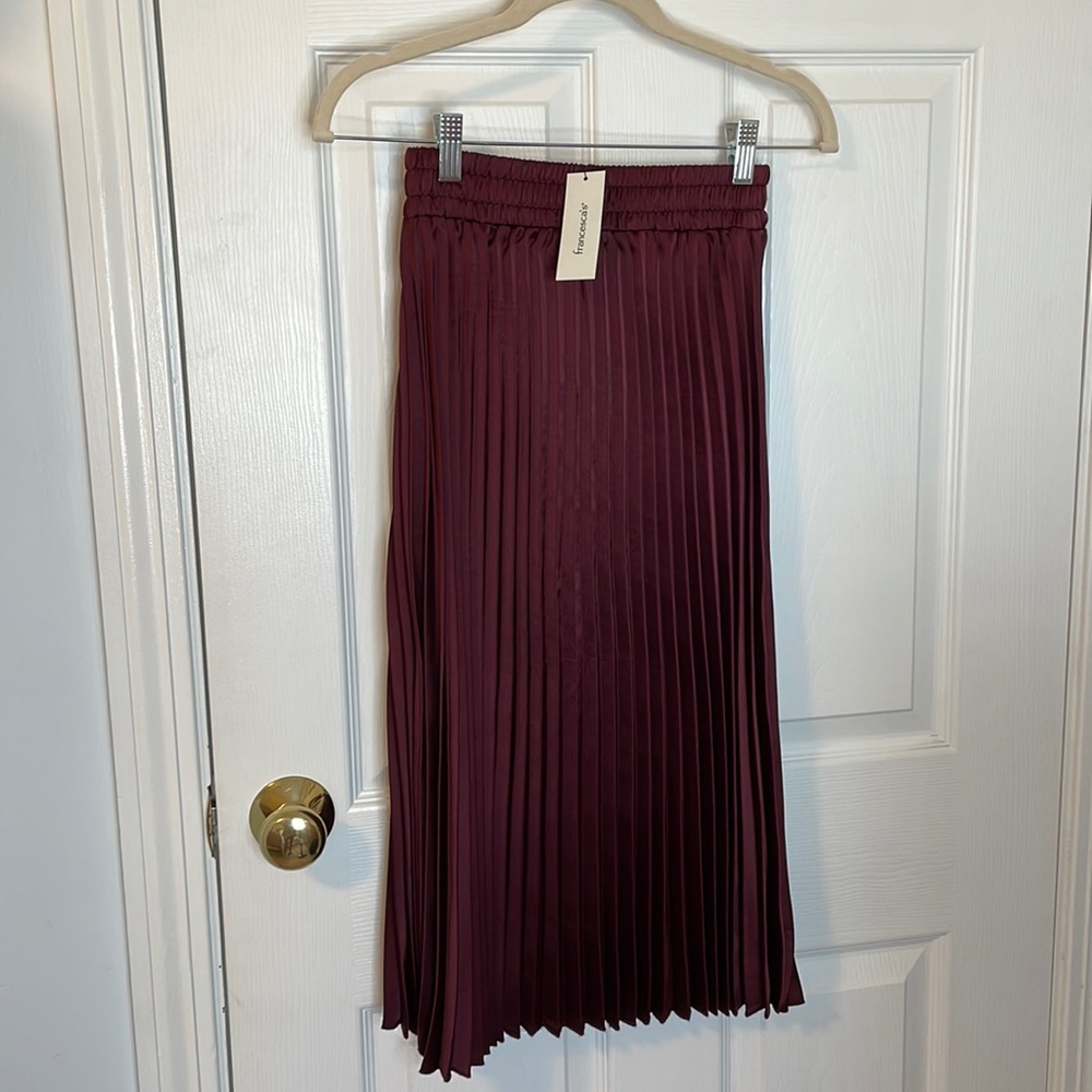 Francesca‘s new with tags pleated skirt size extra small